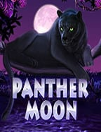 บุกโลกสล็อต ฝาก ถอน ออ โต้ pg แบบเทพ